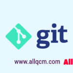 git quiz for biginners