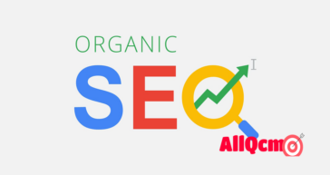 seo organic quiz