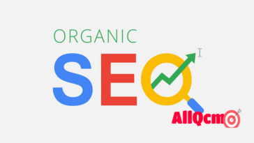 seo organic quiz